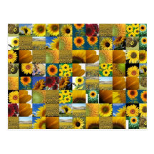 Sonnenblume Postkarte