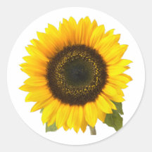 Sonnenblume Runder Aufkleber