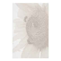 Sonnenblume stationär bedrucktes papier