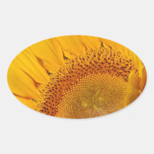 Sonnenblume und Bedeutung Sticker