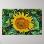 Sonnenblumemalerei Posterdruck
