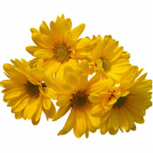 Sonnenschein-Blumenstrauß Foto Figuren