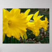 Sonnenschein-Dreiergruppen Plakat