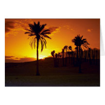 Sonnenuntergang in der Wüste, Wüste des Saharas, T Karten