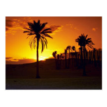 Sonnenuntergang in der Wüste, Wüste des Saharas, T Postkarte