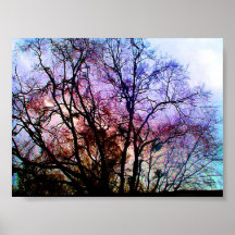 Sonnenuntergang in Louisiana Plakatdruck