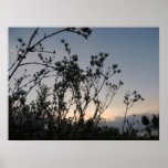 Sonnenuntergangfeld der wilden Blumen Plakatdruck