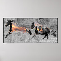 SonnenuntergangPintos Poster