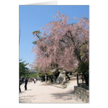 Sonnige Blüte Grußkarte