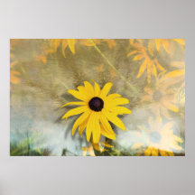 Sonniger Tag Posterdrucke