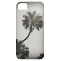 Sonniges Florida iPhone 5 Schutzhüllen