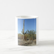Sonoran Wüstenszene 07 Kaffee Tassen