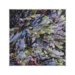 South Devon Coast Rockpool Plan Life .2 leinwanddrucke