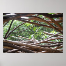 Spähen aus dem das Nest-Plakat-Druck des Vogels he