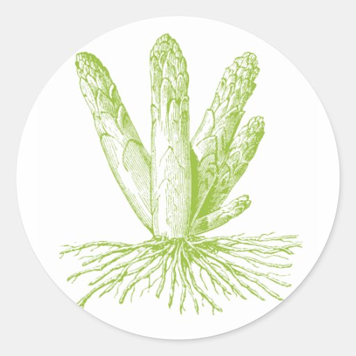 Spargel-Aufkleber