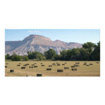 Spätsommer nahe Palisade Fotokarten