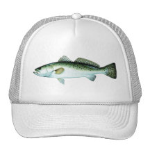 SPECK TRUCKER MÜTZEN