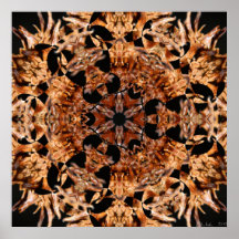 Spikey Ball-Hexe im Januar 2013 Posterdruck