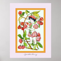 Spindel-Beere Poster