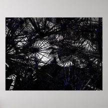 Spinne - JMA0080 Plakat