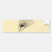 Spinne Spinnennetz spider web Autosticker