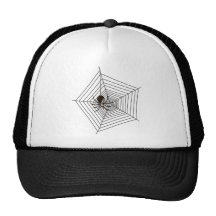 Spinne Spinnennetz Truckercap