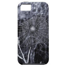 Spinnen-Netz-Fall iPhone 5 Etuis
