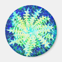 Spinnende Dornen Magnets