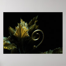 Spiral in the Spotlight Plakatdrucke