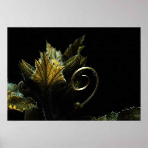 Spiral in the Spotlight Plakatdrucke