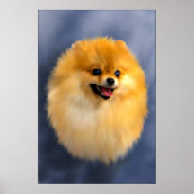 Spitz-Porträt-feine Kunst-Druck Plakatdruck