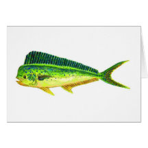 SPORTFISH MITTEILUNGSKARTEN
