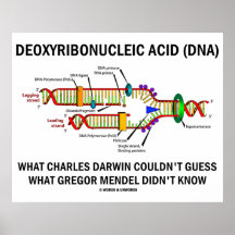 Sprichwort Desoxyribonukleinsäure(DNA) Darwin Mend Plakate