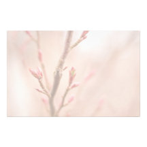 Spring dreams personalized stationery