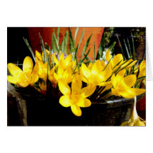 Spring greetings grußkarte