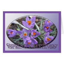 Spring greetings grußkarten