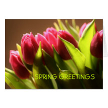 Spring greetings karten