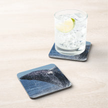 Springendes Buckel-Wal-Set Untersetzer