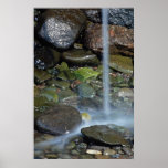 Springlet, großartige Manan-Insel, New-Brunswick,  Plakate