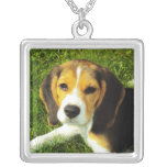 Spürhund-Welpen-Halskette
