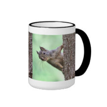 Squirrel On a Tree Mugs