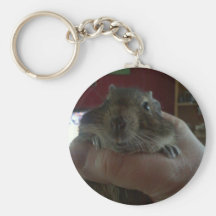 Squishy Face Degu Key Chain