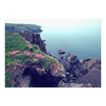 St David Kopf, Westernmost Punkt von Wales-Blume Individuelle Ankündigungen