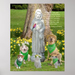 St- Franciszitat Poster