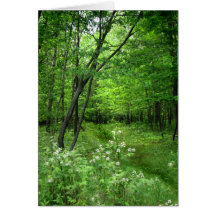 St Patrick Tag: Waldweg Grußkarte