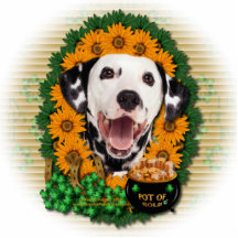 St. Patricks - Goldschatz - Dalmatiner Fotofigur