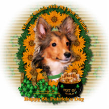 St. Patricks - Goldschatz - Sheltie - Fassbinder Fotostatue