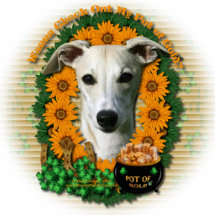 St. Patricks - Goldschatz - Whippet Foto Figur