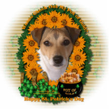 St. Patricks - Topf Gold - Jack Russell Foto Figur