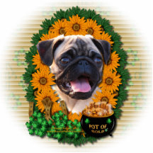 St. Patricks - Topf Gold - Mops Fotoausschnitte